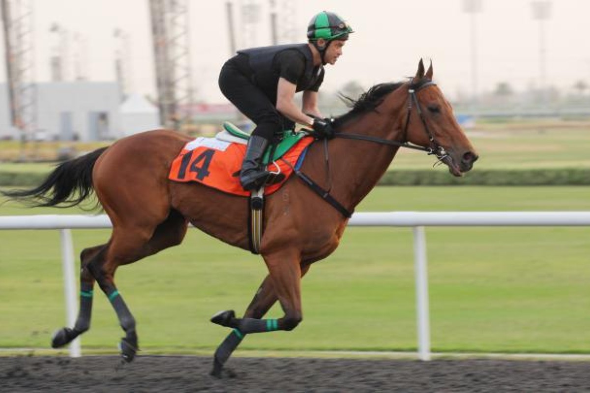 Joy And Fun showed in Dubai there is plenty of life left in the old dog. Photo: Kenneth Chan