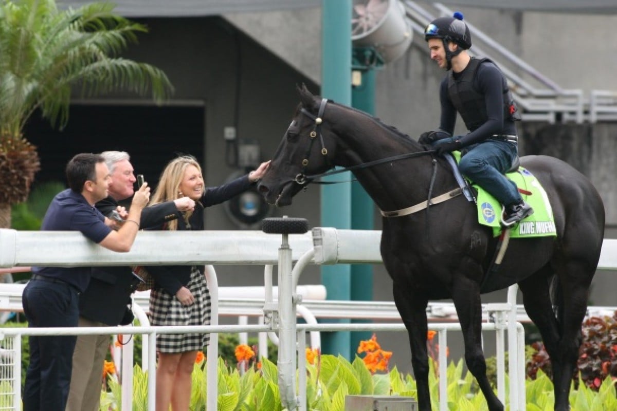 King Mufhasa's owners give their horse some encouragement as jockey Michael Rodd takes him back to the stables.Photos: Kenneth Chan