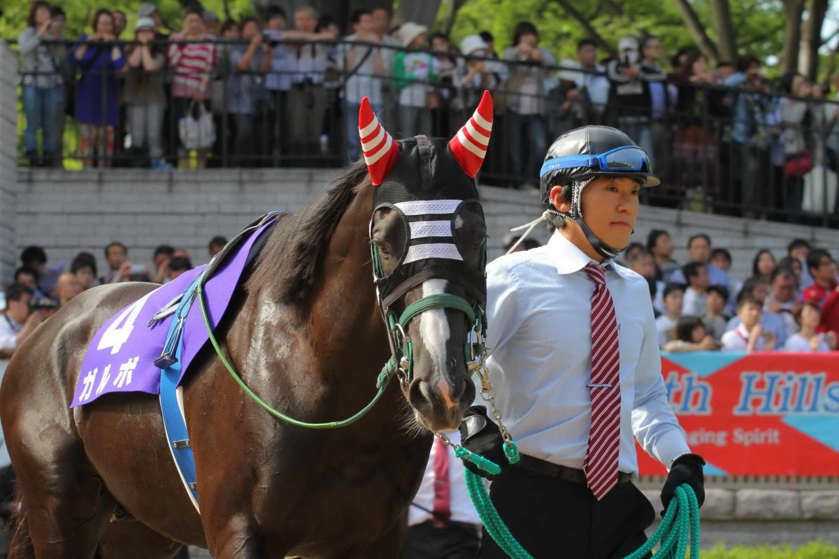 Brightly coloured hoods are a feature of Japanese racing. 