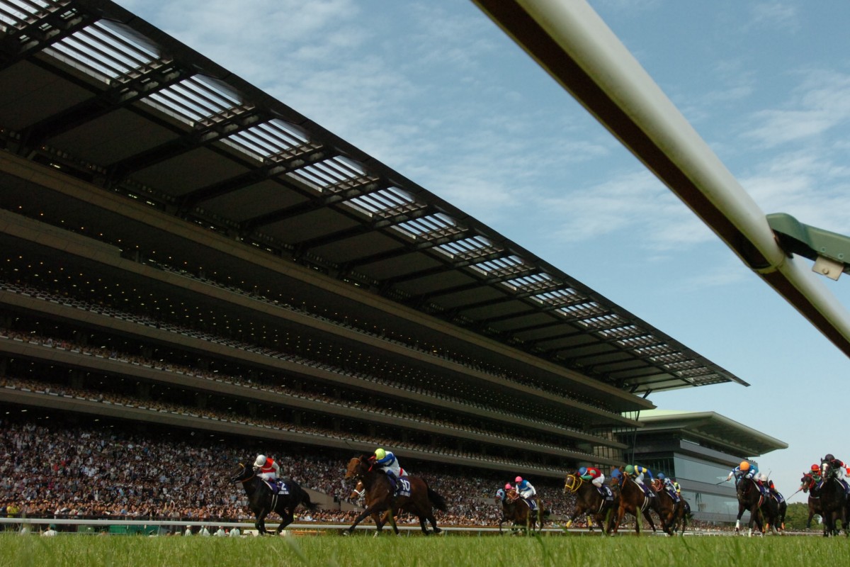 Tens of thousands of fans cheer home their hero, Lord Kanaloa, in the Yasuda Kinen. Photos: SCMP 