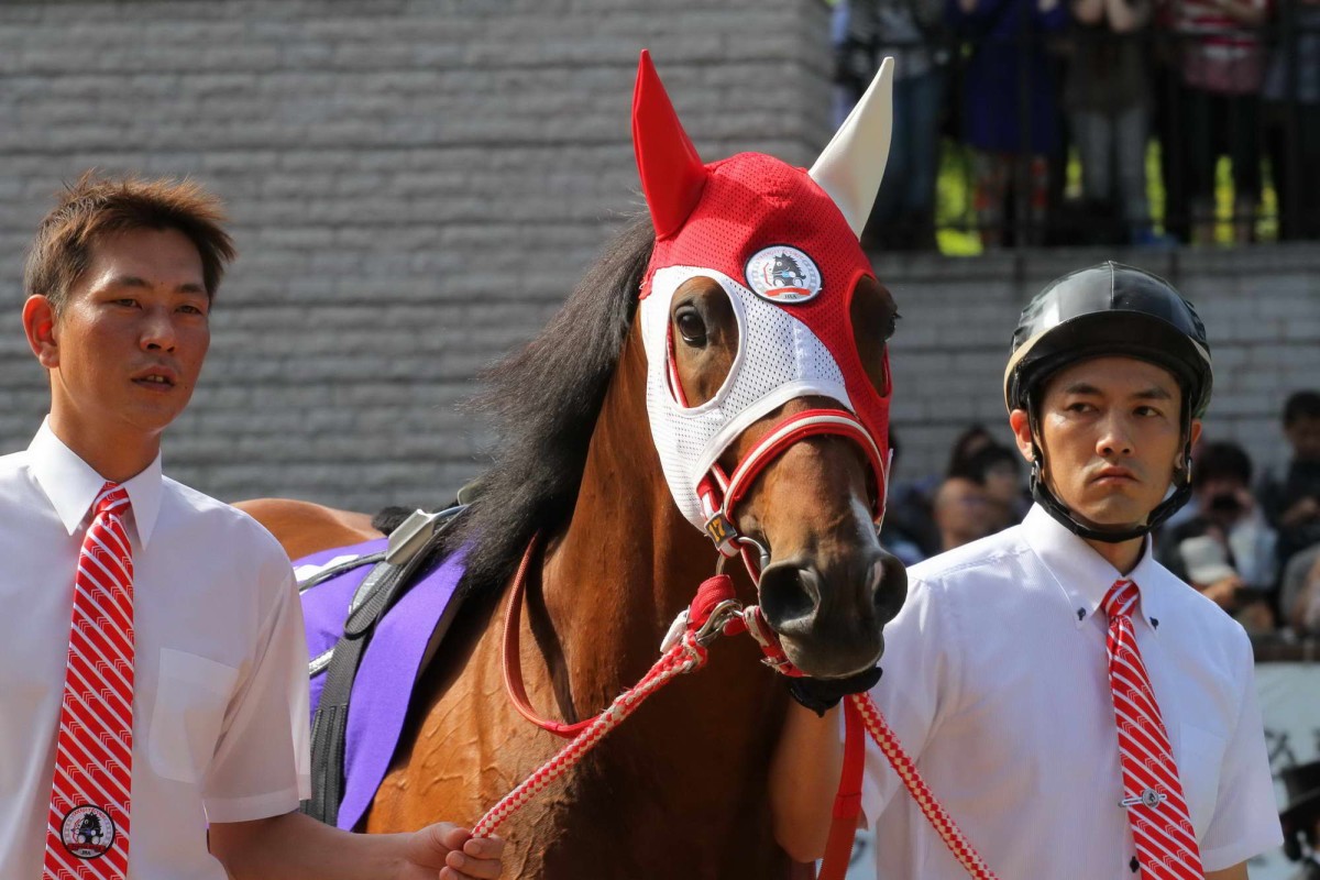 Brightly coloured hoods are a feature of Japanese racing. 