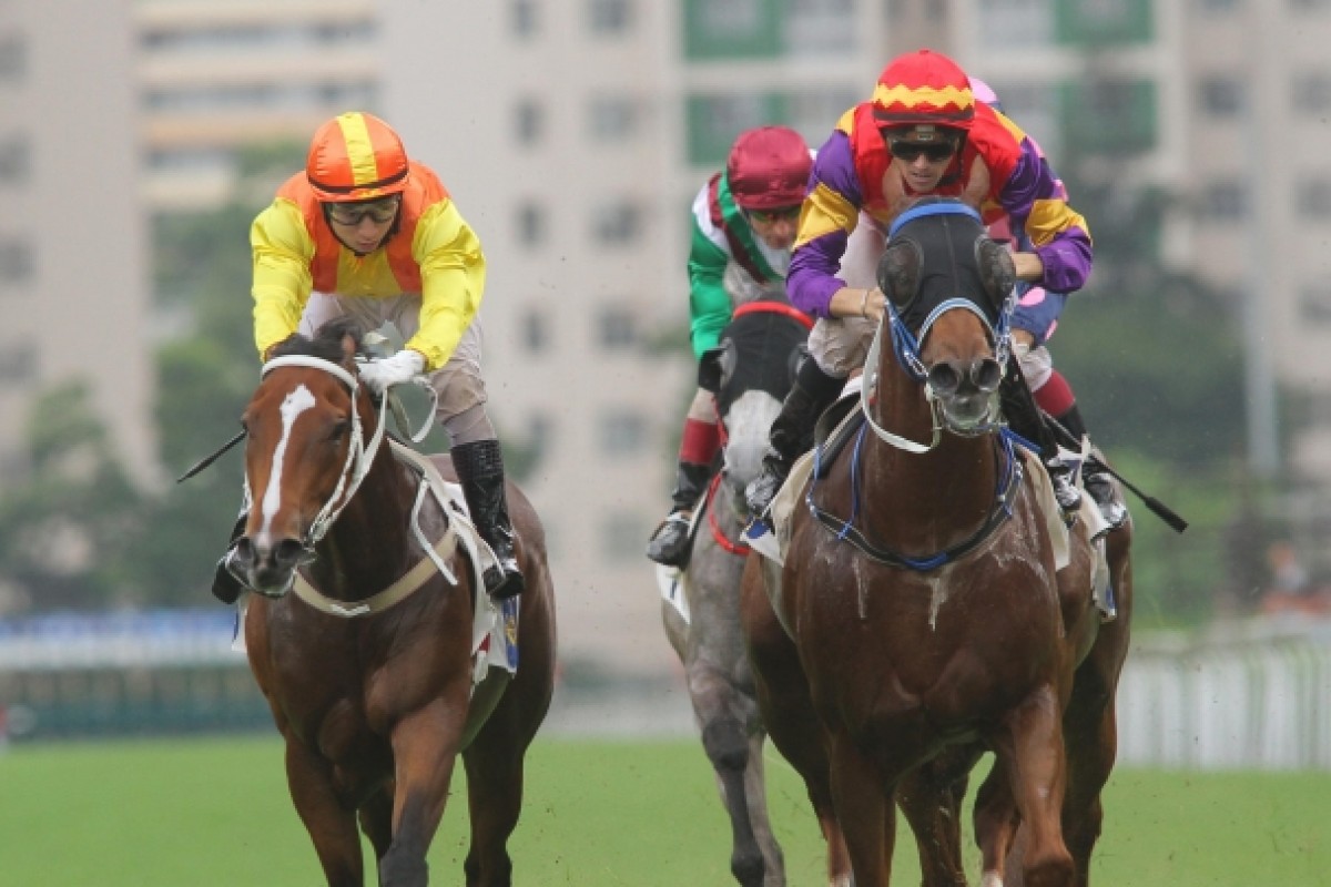 California Bounty (left), with Matthew Chadwick aboard, shows great heart to fight back and beat Windicator Star in yesterday's feature at Sha Tin. Photo: Kenneth Chan