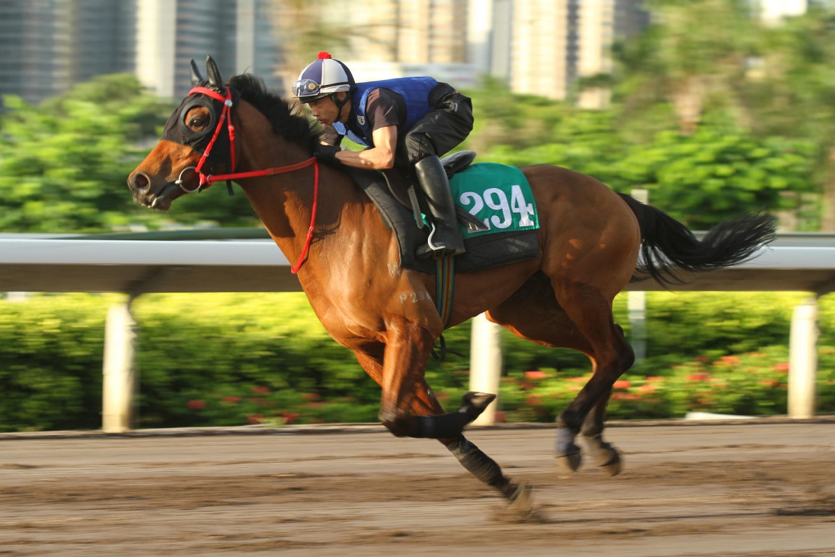 Flame Hero has caught the eye in the mornings.