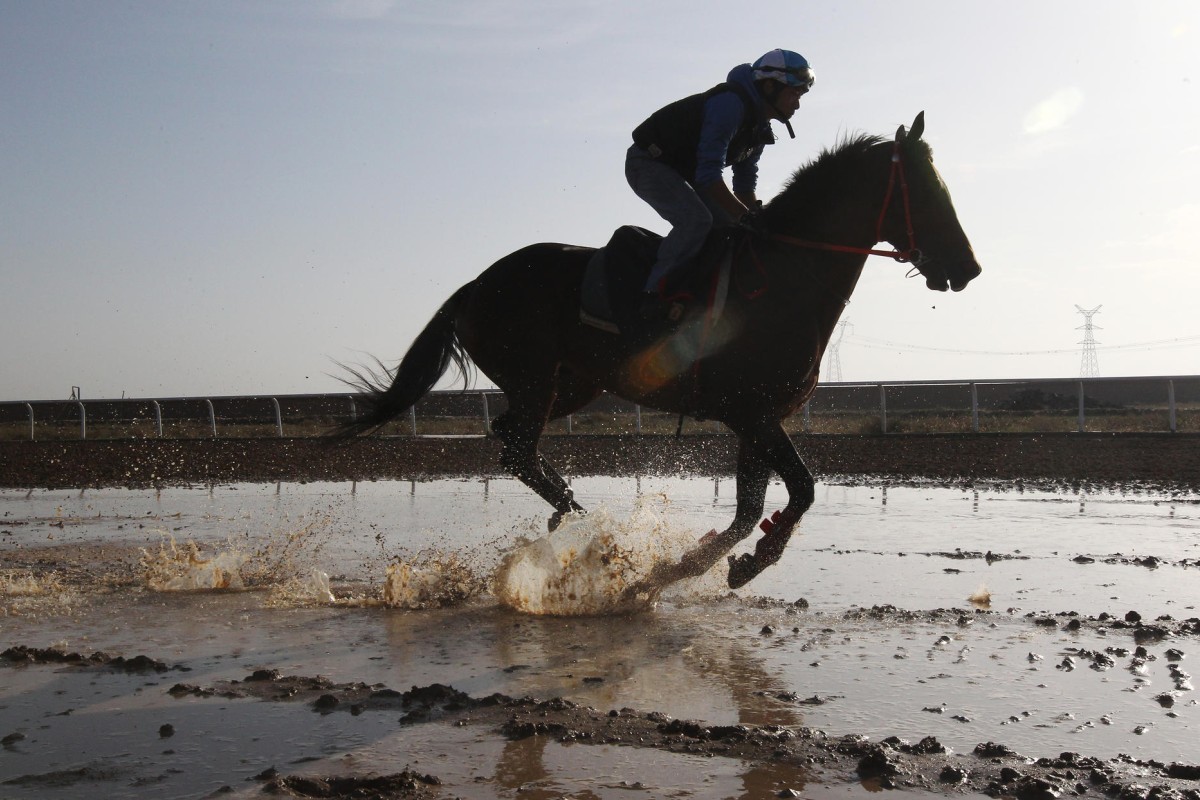 The track at Hohhot was not exactly world class. Photo: David Wong