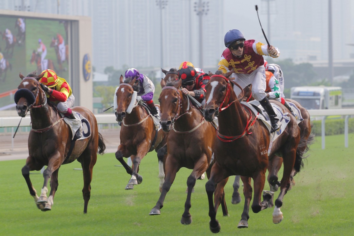 Jockey Tye Angland raises his whip in celebration after winning the Group Three Sha Tin Sprint Trophy aboard the fast-improving Go Baby Go. Photo: Kenneth Chan