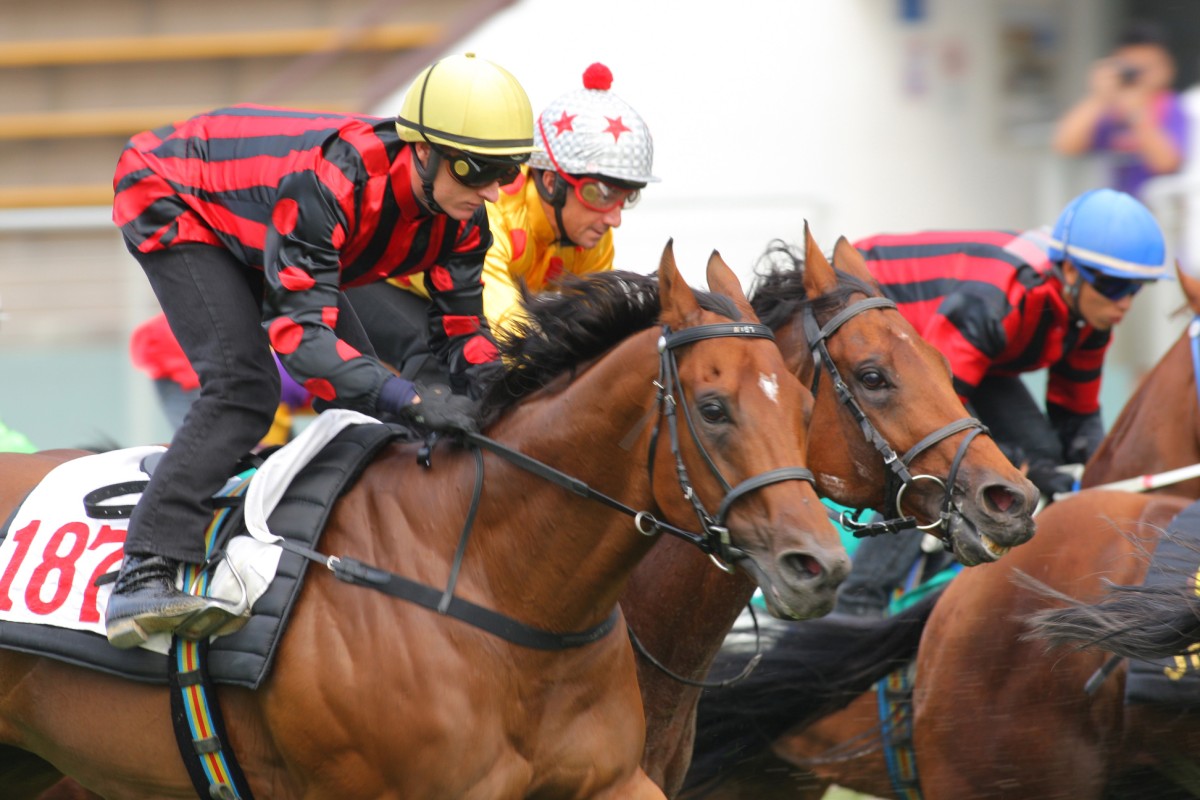 Frederick Engels (left) in action at Sha Tin is one of John Moore's 11 chances for Sunday. Photo: Kenneth Chan