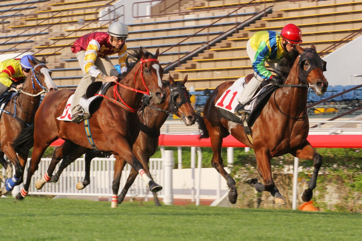 Rich Tapestry (Olivier Doleuze) wins a trial at Sha Tin Tuesday from Go Baby Go. Both now head to Sunday week's Hong Kong Sprint. Photo: Kenneth Chan