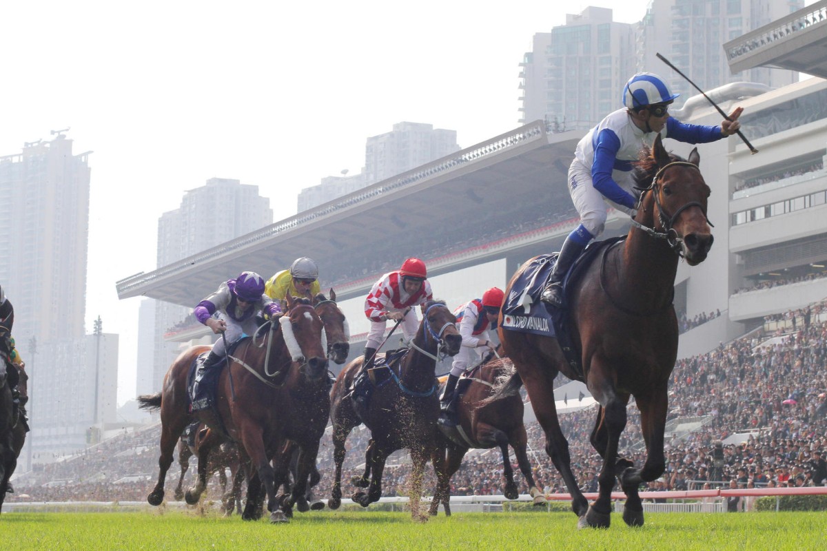 Japanese star Lord Kanaloa crushed all-comers, including Lucky Nine, centre of chasing pack, in the Hong Kong Sprint last year. Photo: Kenneth Chan 