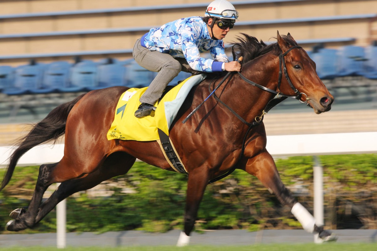 Japanese sprinter Lord Kanaloa in full flight at Sha Tin, forcing trackwatchers to double check their stopwatches.Photos: Kenneth Chan