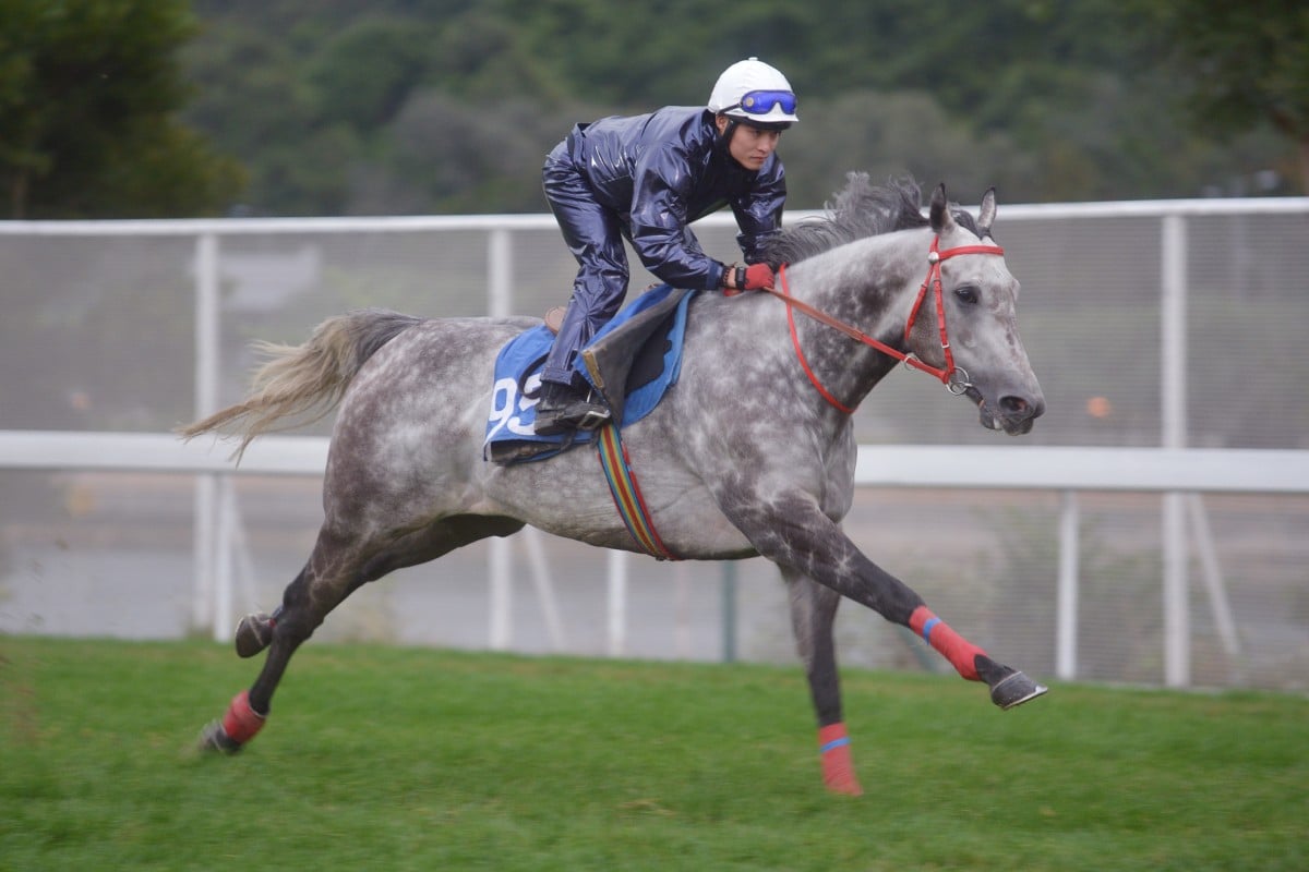 The Jockey Club website's training replays could be more informative. Photo: Kenneth Chan