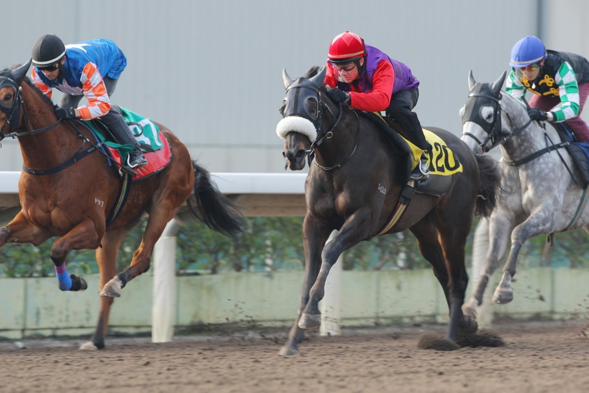 Dibayani (middle) made up solid ground late in his first run on Sunday. Photo: Kenneth Chan