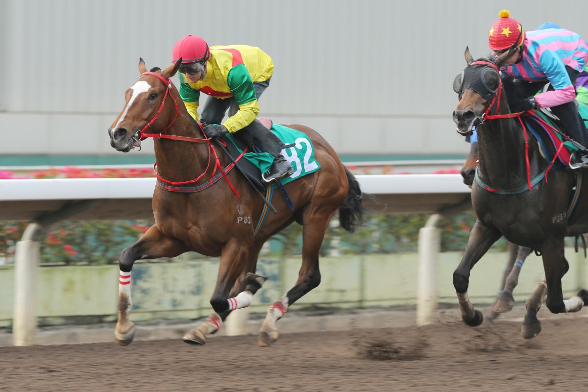Back at work this week after his two-meeting suspension, Purton rode Joy Together at Sha Tin yesterday. Photo: Kenneth Chan