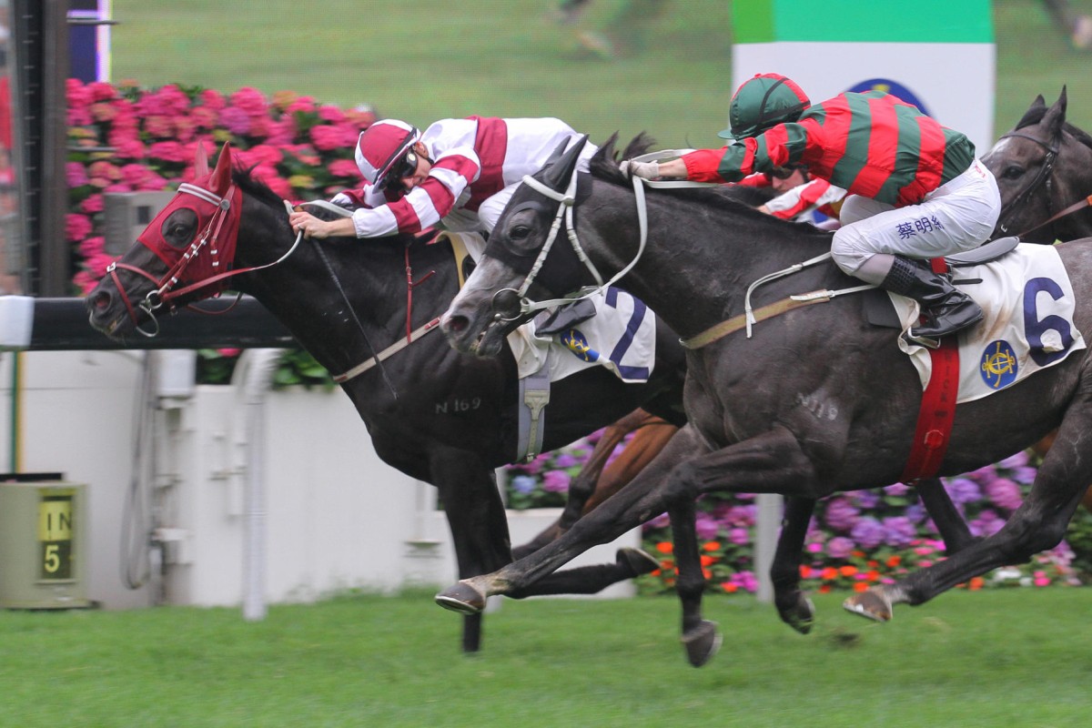 Zac Purton's many winners, such as this Queen Mother Memorial Cup success in May 2013, come at a price. Photo: Kenneth Chan