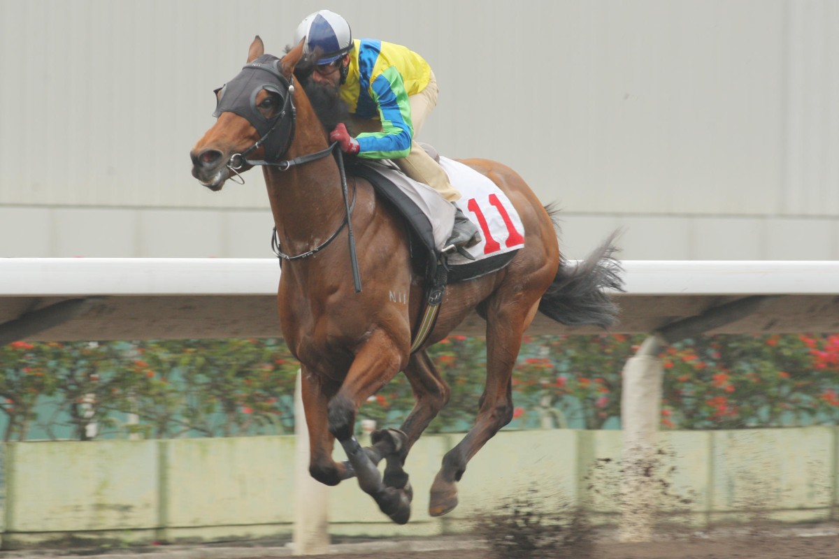 Rich Tapestry responds under Olivier Doleuze to win his trial at Sha Tin on Tuesday. Photo: Kenneth Chan