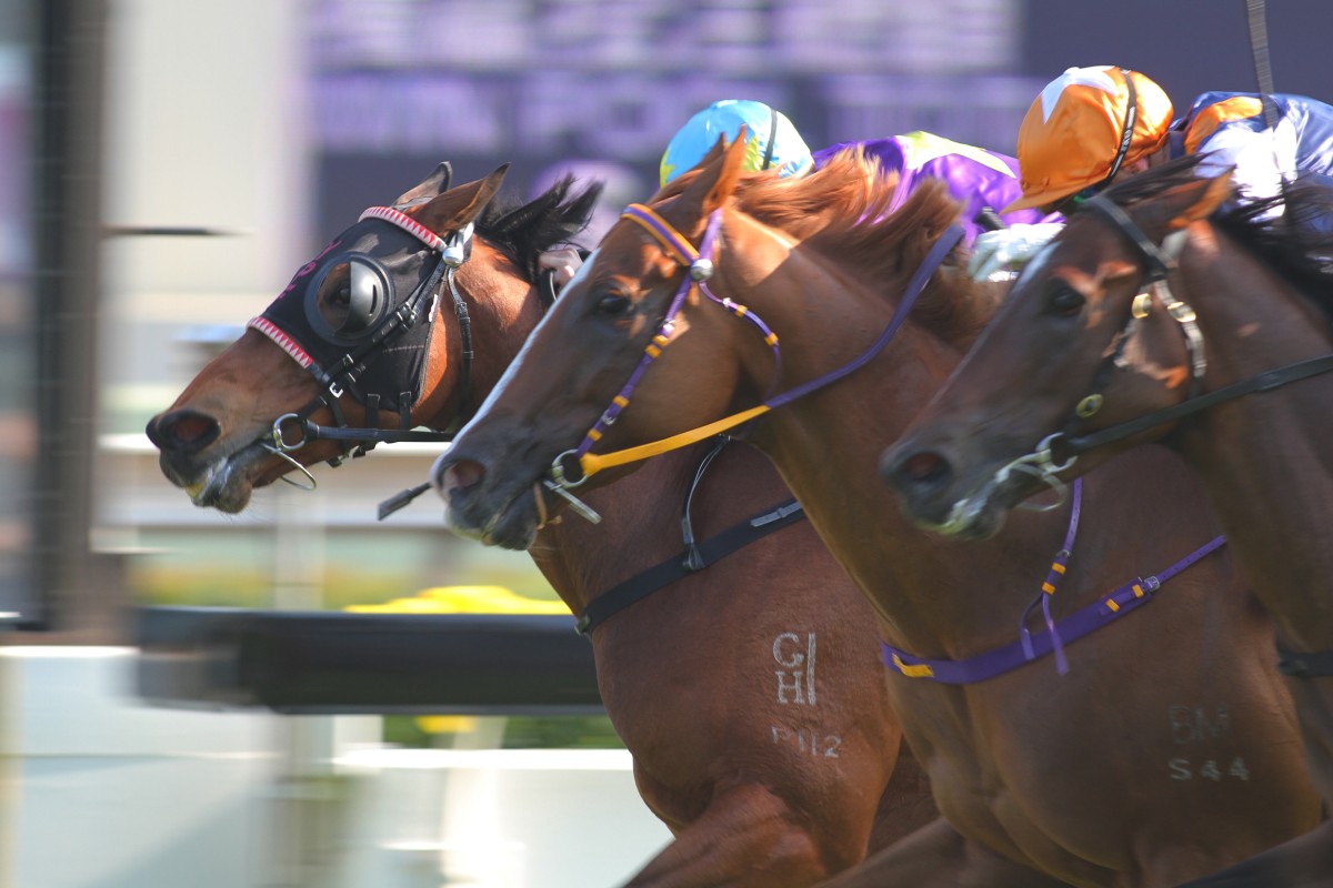 Numero Uno (Zac Purton) was just edged out by Mighty Equus (Nicola Pinna) two starts back, but he can win on Saturday. Photos: Kenneth Chan