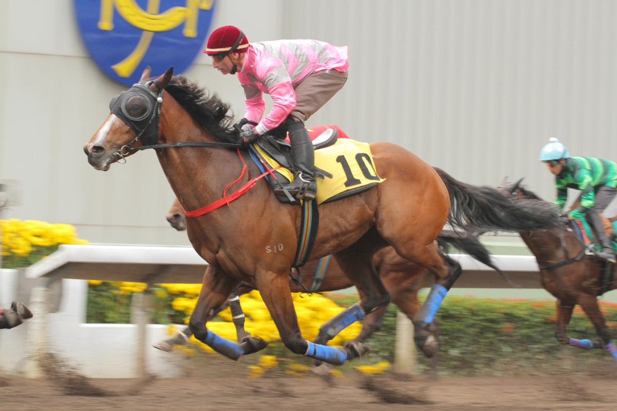 My Little Friend (Gerald Mosse) finishes third in a trial at Sha Tin yesterday morning behind Demon Demon (Joao Moreira). He looks ready to win next time out. Photos: Kenneth Chan