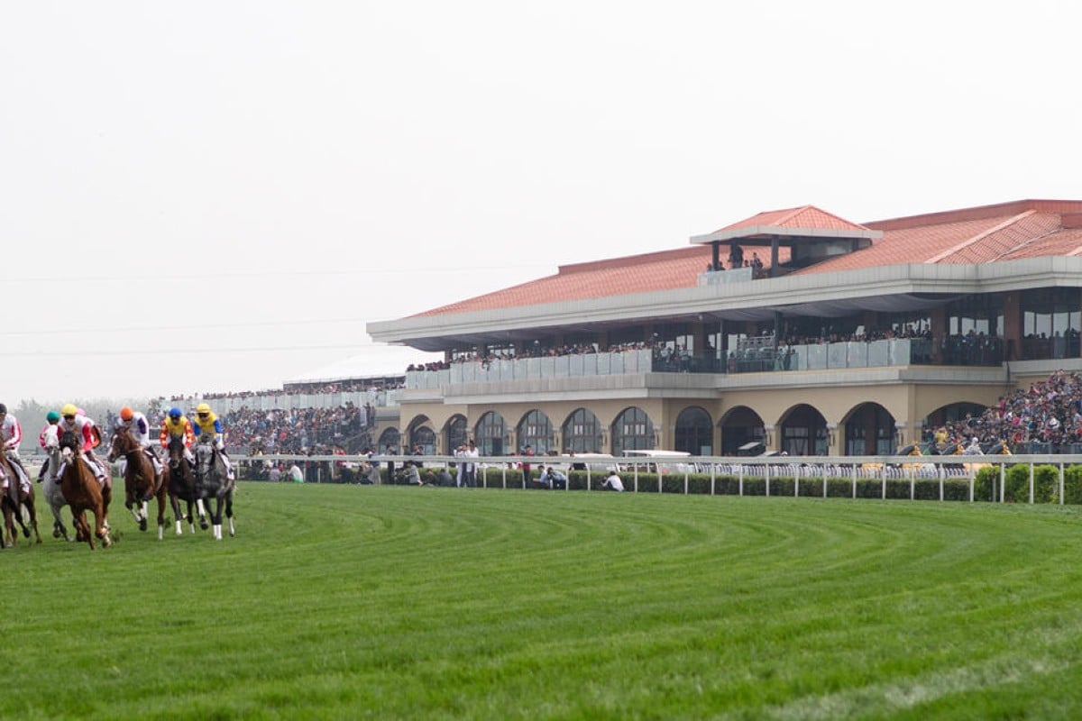 The inaugural Chengdu/Dubai International Cup drew praise, but what comes next without any betting. Photo: Dubai Racing Club