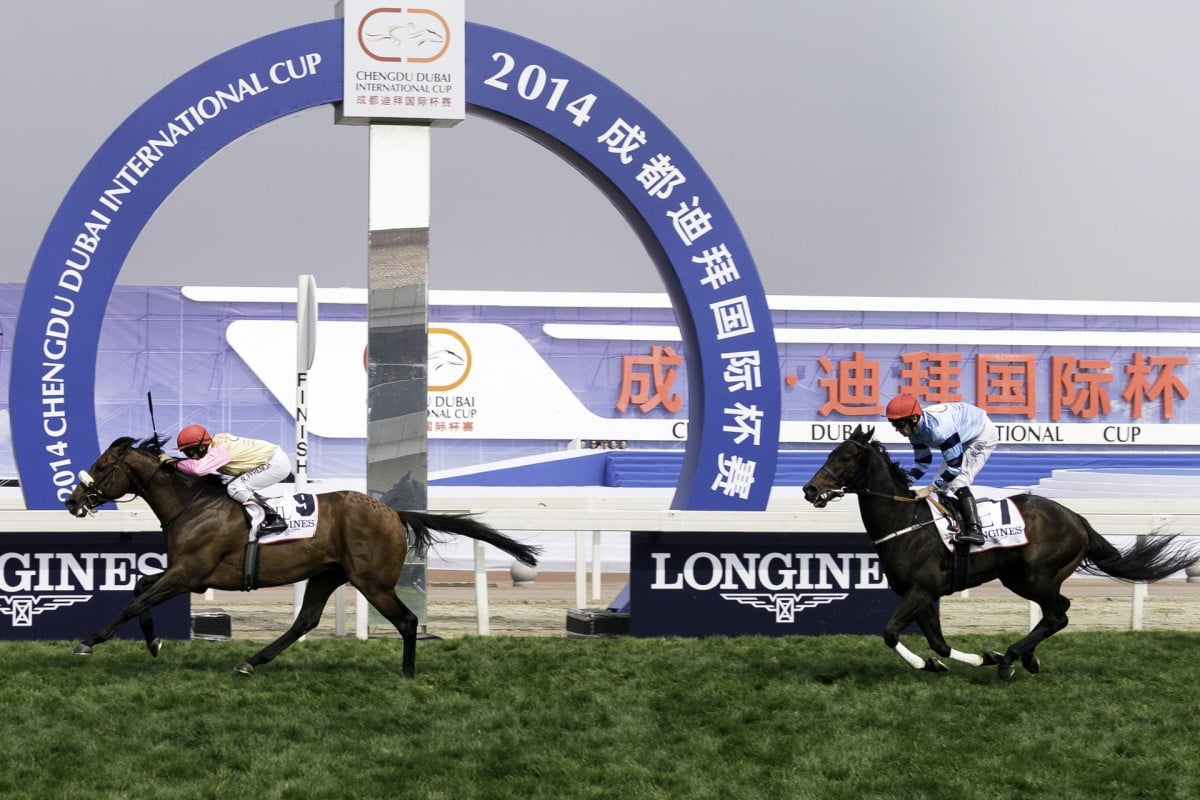 Mutual Force, ridden by Royston Ffrench and trained by Ali Rashid Al Raihe, wins the 1.5 million yuan Chengdu Dubai International Cup. Photo: Neville Hopwood, Dubai Race Club