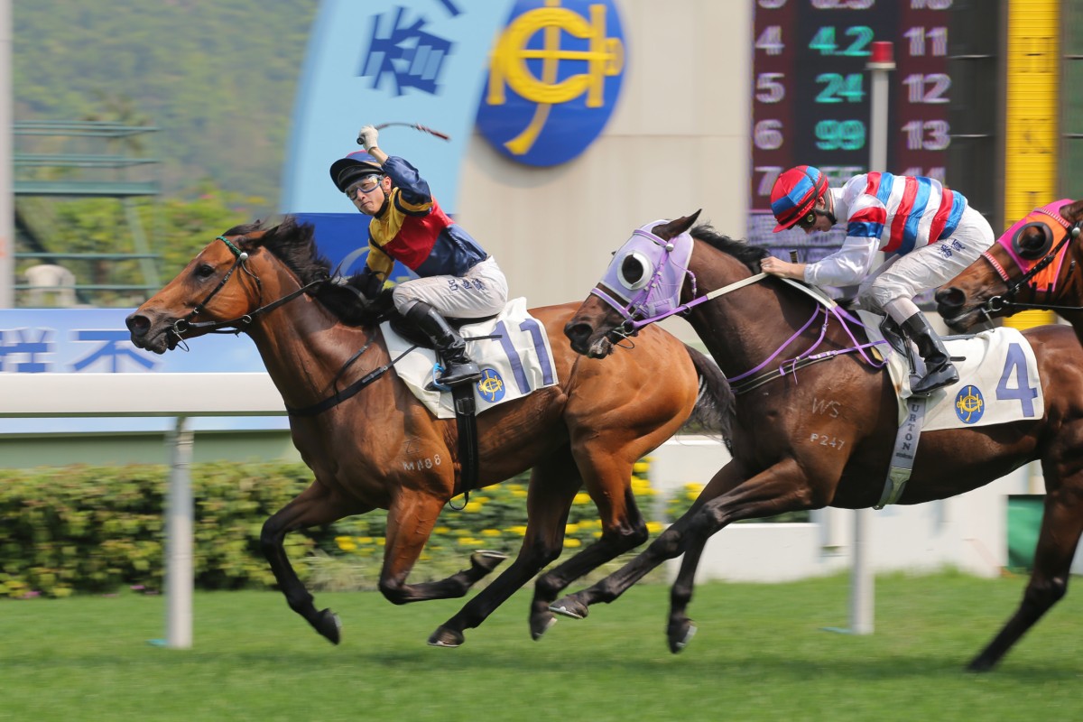 Zac Purton and Island Garden charge home but just fail to grab Really The Best (Dicky Lui Cheuk-yin).