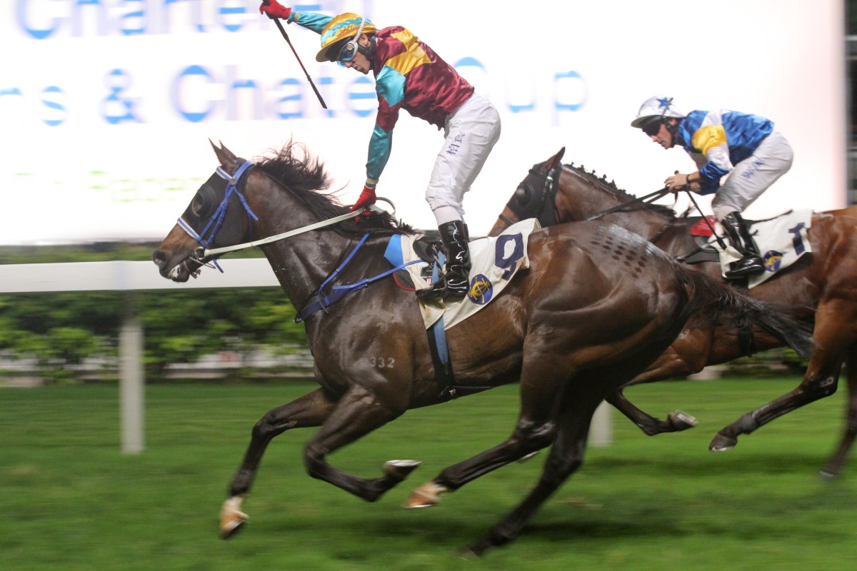 Victory Hero may have won, but Flying Unicorn (inside) will have plenty of admirers next time out.