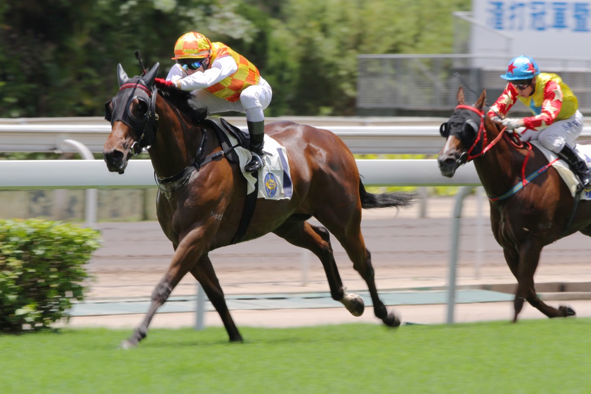 Brett Brebble leaves nothing to chance as he storms home aboard favourite District Commander. Photo: Kenneth Chan