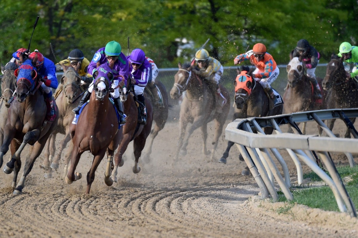 California Chrome, in the green cap, leads the field into the stretch in the Preakness Stakes at Pimlico racecourse in Baltimore. Hong Kong punters couldn't watch this race live, just as they won't be able to watch the third leg of the Triple Crown - the Belmont Stakes. Photo: Washington Post/Jonathan Newton