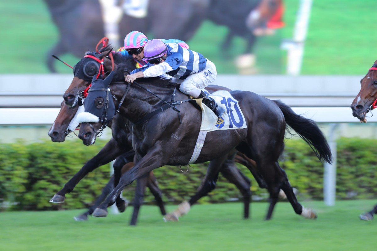 Packing Llaregyb (Zac Purton) gets the better of Khaya (Joao Moreira) to bring up 100 wins for the Australian, who scored a treble on Sunday. Photos: Kenneth Chan