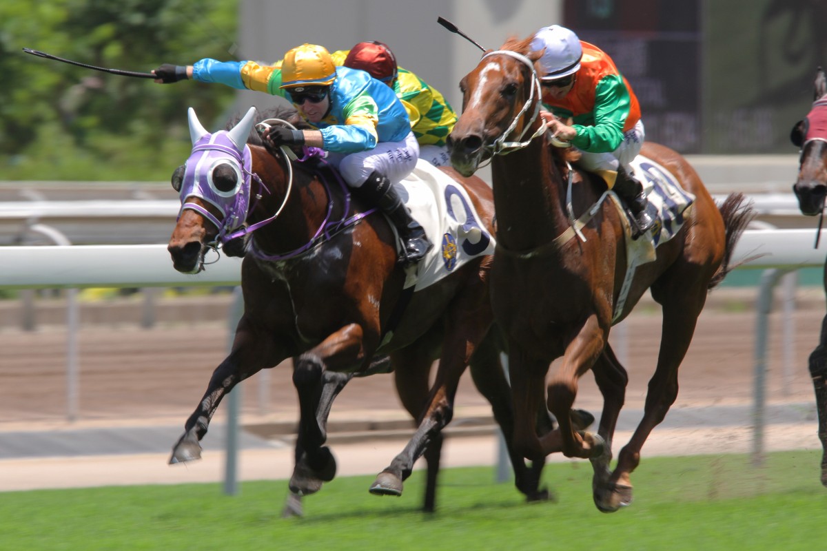 Terrific Master gets over the top of Spirit Soaring to win, despite still showing signs of inexperience.