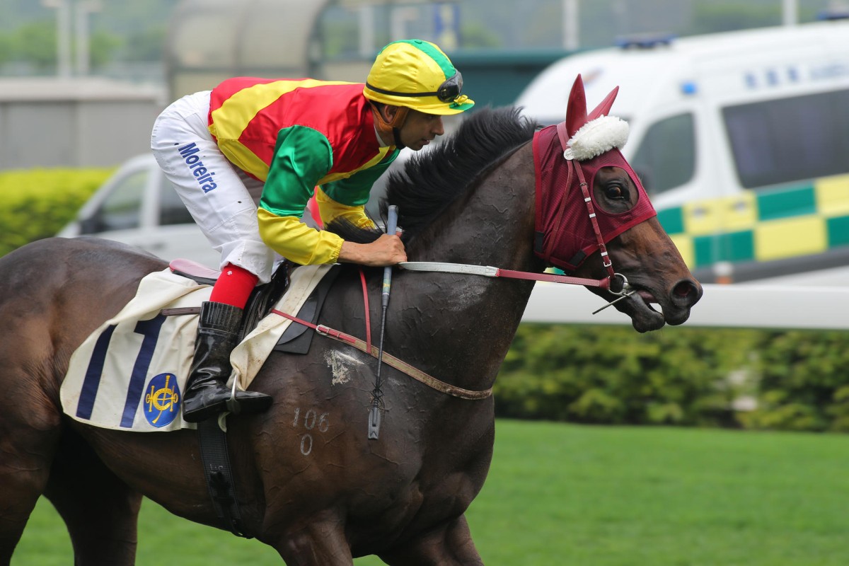 Joao Moreira brings Grand Harbour back after his win two starts back. Tommy Berry rides on Sunday. Photo: Kenneth Chan