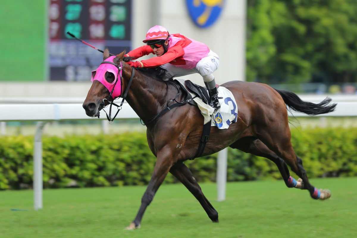 Win Along leaves his rivals in his wake to complete Brett Prebble's winning double. Photo: Kenneth Chan