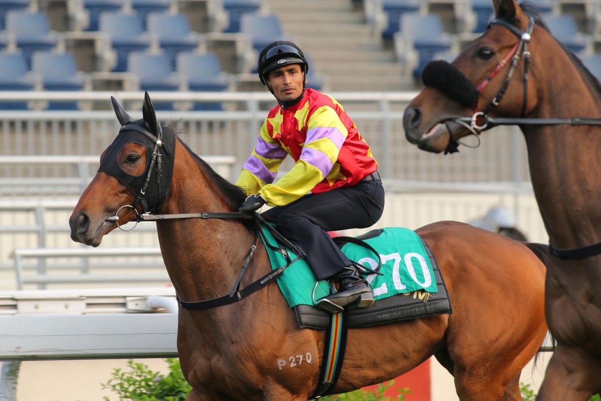 Karis Teetan will be aboard Designs On Rome on Sunday. Photo: Kenneth Chan