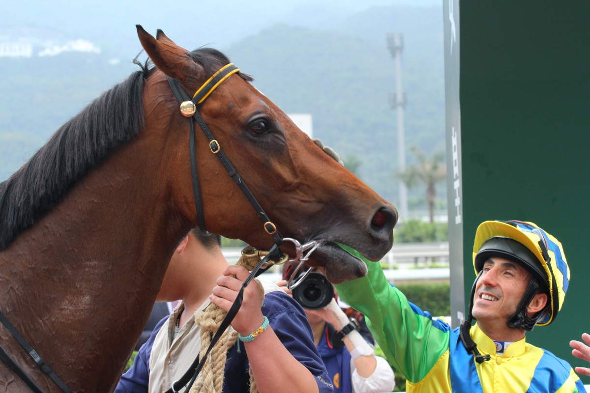 Olivier Doleuze gives Rich Tapestry a pat after winning the 2013 Sprint Cup. The pair are reunited in Los Angeles on Sunday morning when Rich Tapestry contests the Santa Anita Sprint Championship. Photo: Kenneth Chan