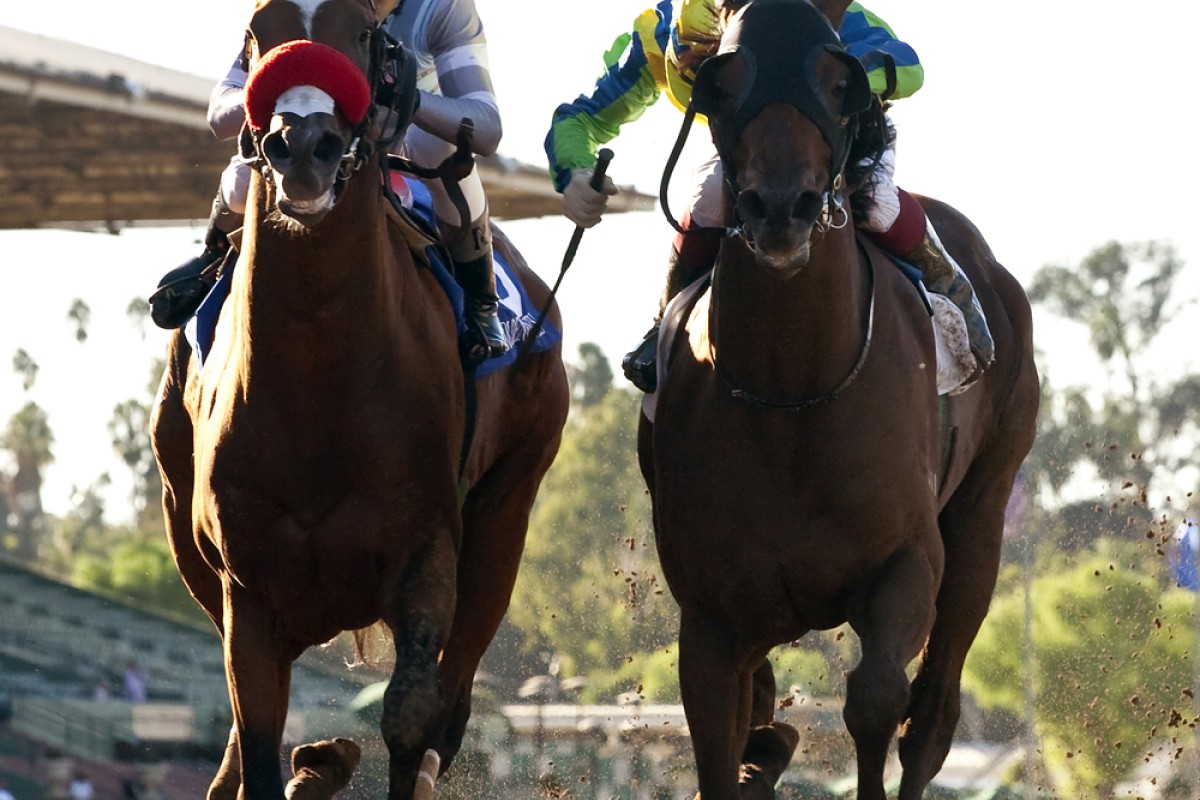 Rich Tapestry (Olivier Doleuze, right) wins the Santa Anita Sprint Championship from Goldencents (Rafael Bejarano) on Sunday morning, Hong Kong time. Photo: AP