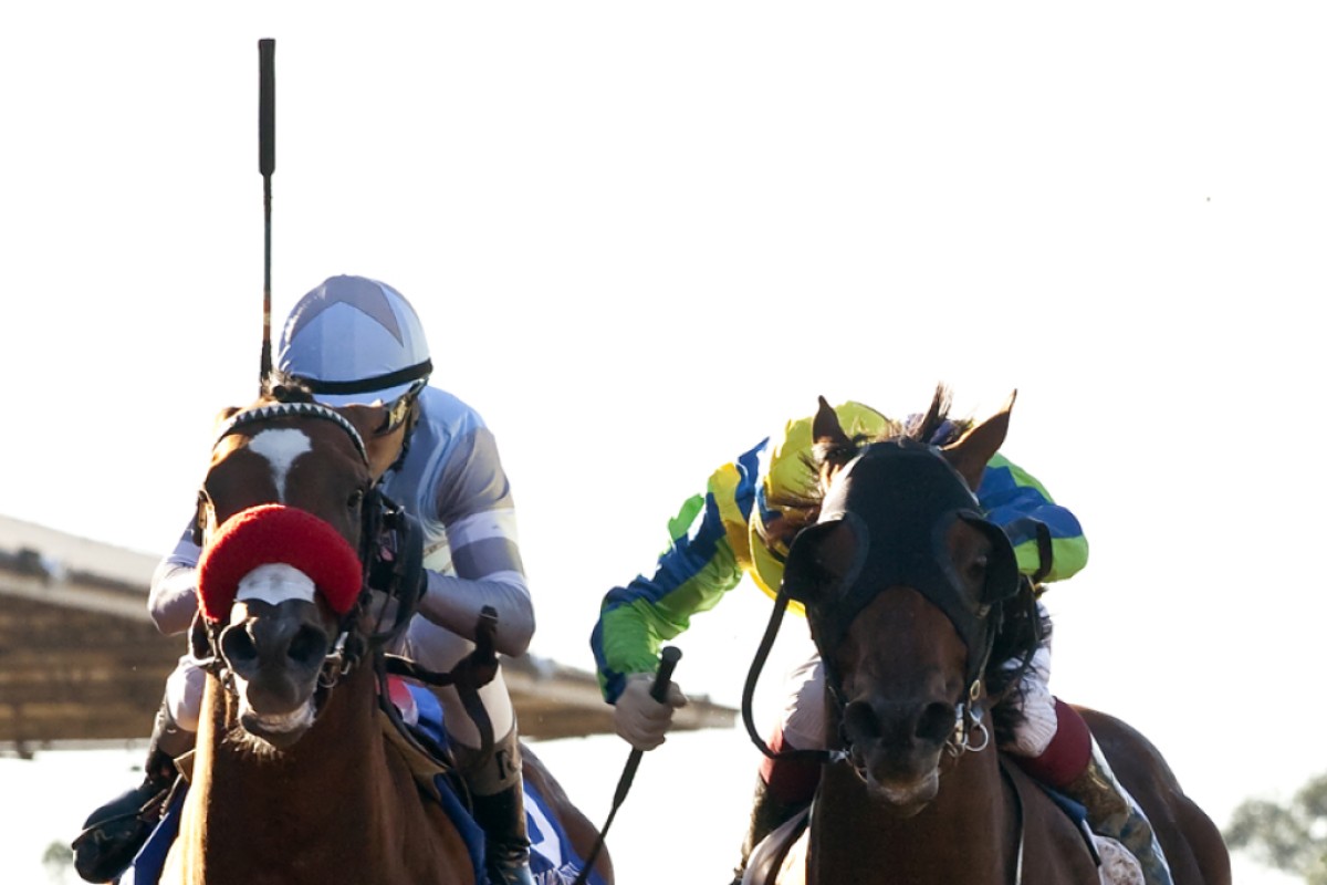 Rich Tapestry and Olivier Doleuze (right) beat Goldencents (Rafael Bejarano) in the Santa Anita Sprint Championship in California. Photo: AP.
                        