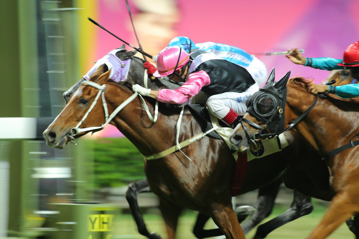 Matthew Chadwick guides Beauty King to the line in race six at Happy Valley, which was his third win of the night. Photo: Kenneth Chan