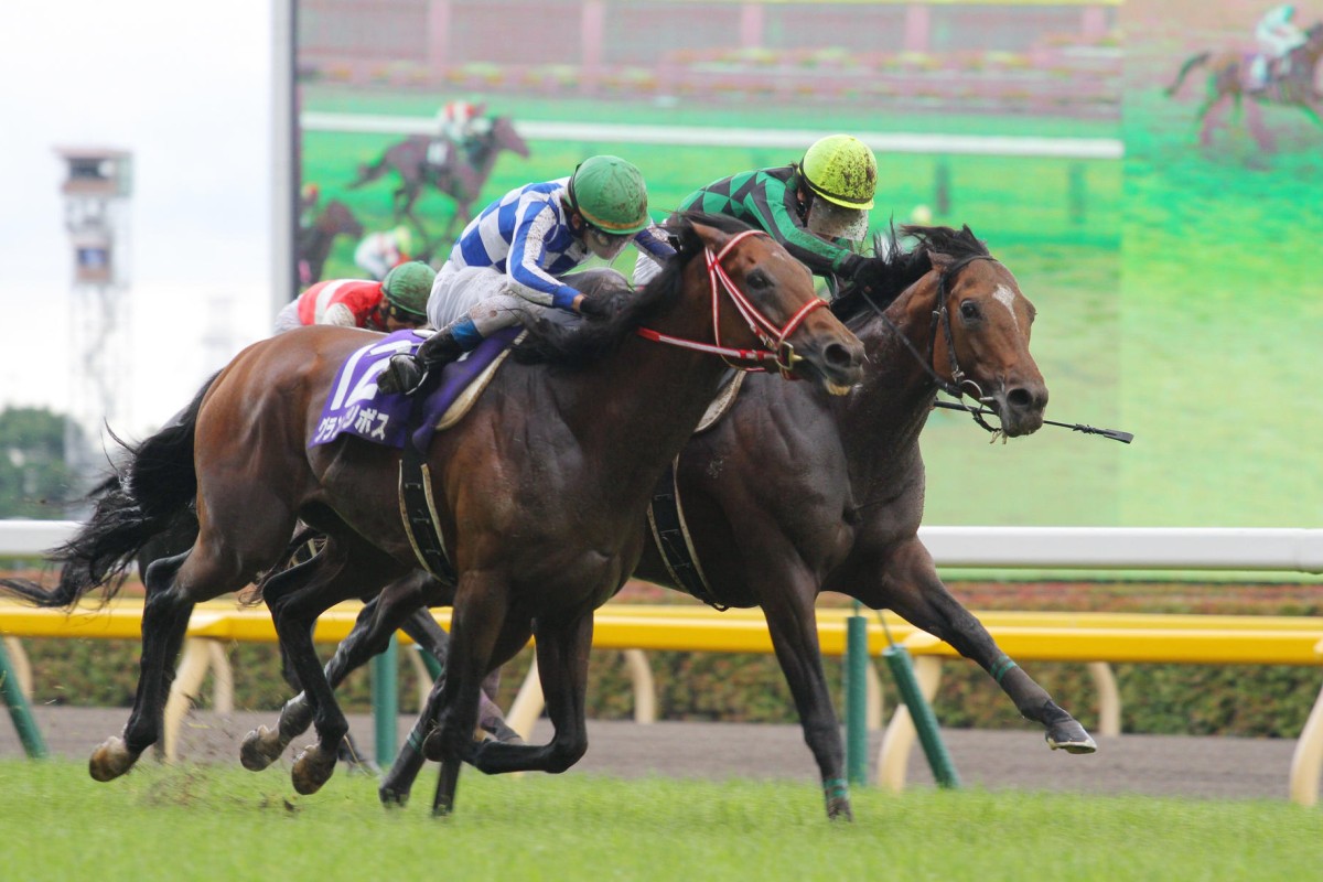 Just A Way (inside) wins the Yasuda Kinen in Tokyo in June. Photo: Kenneth Chan