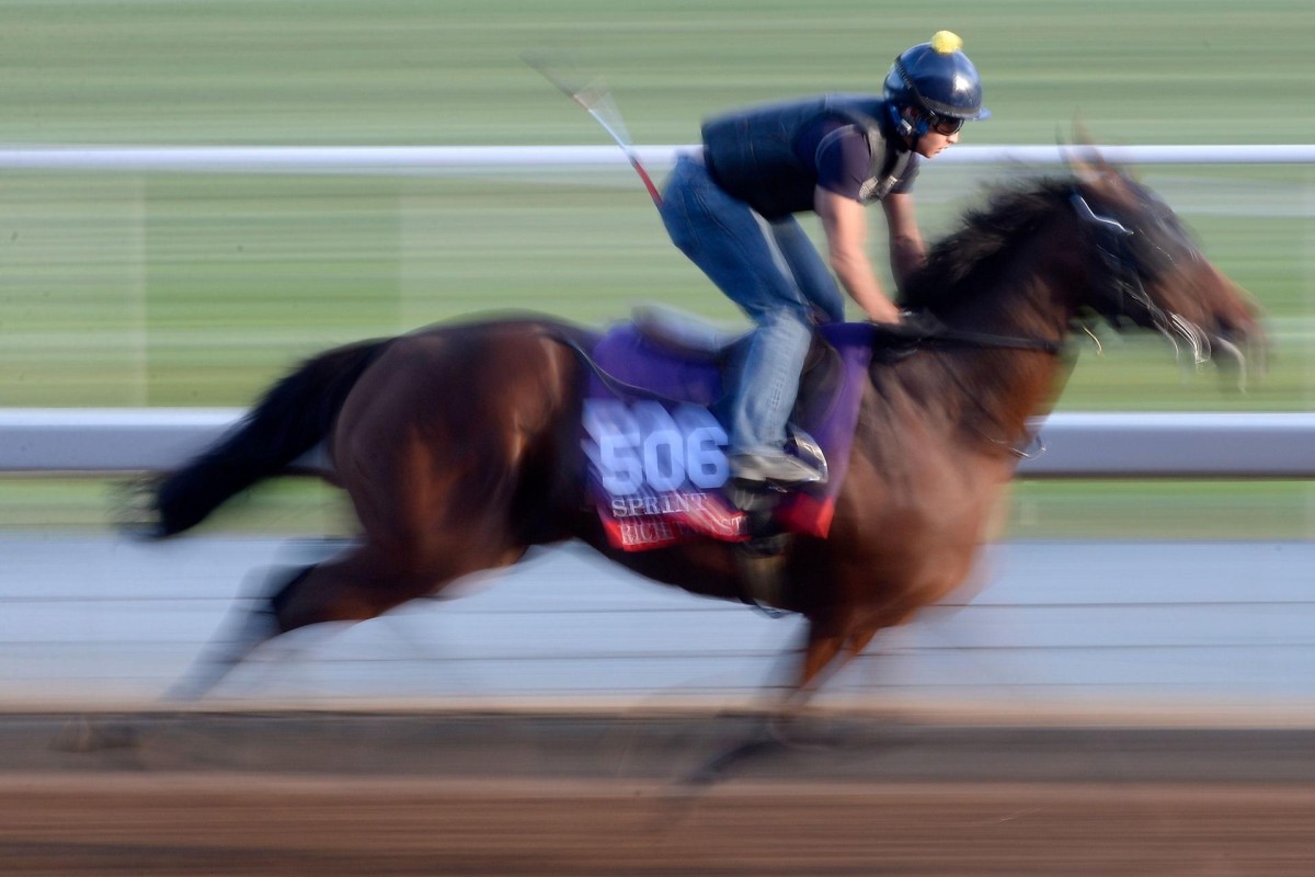 Rich Tapestry is ready to make history in California. Photo: AFP