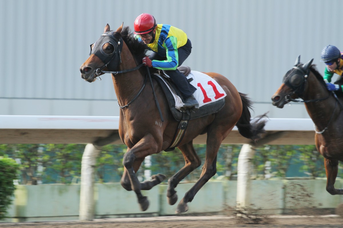 The Jockey Club stood firm on asking connections of Rich Tapestry to race him lasix free in America. Photo: Kenneth Chan