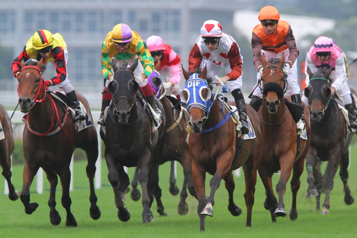 The addition of blinkers worked wonders on Rock The Tree, who David Ferraris called a "natural stayer". 