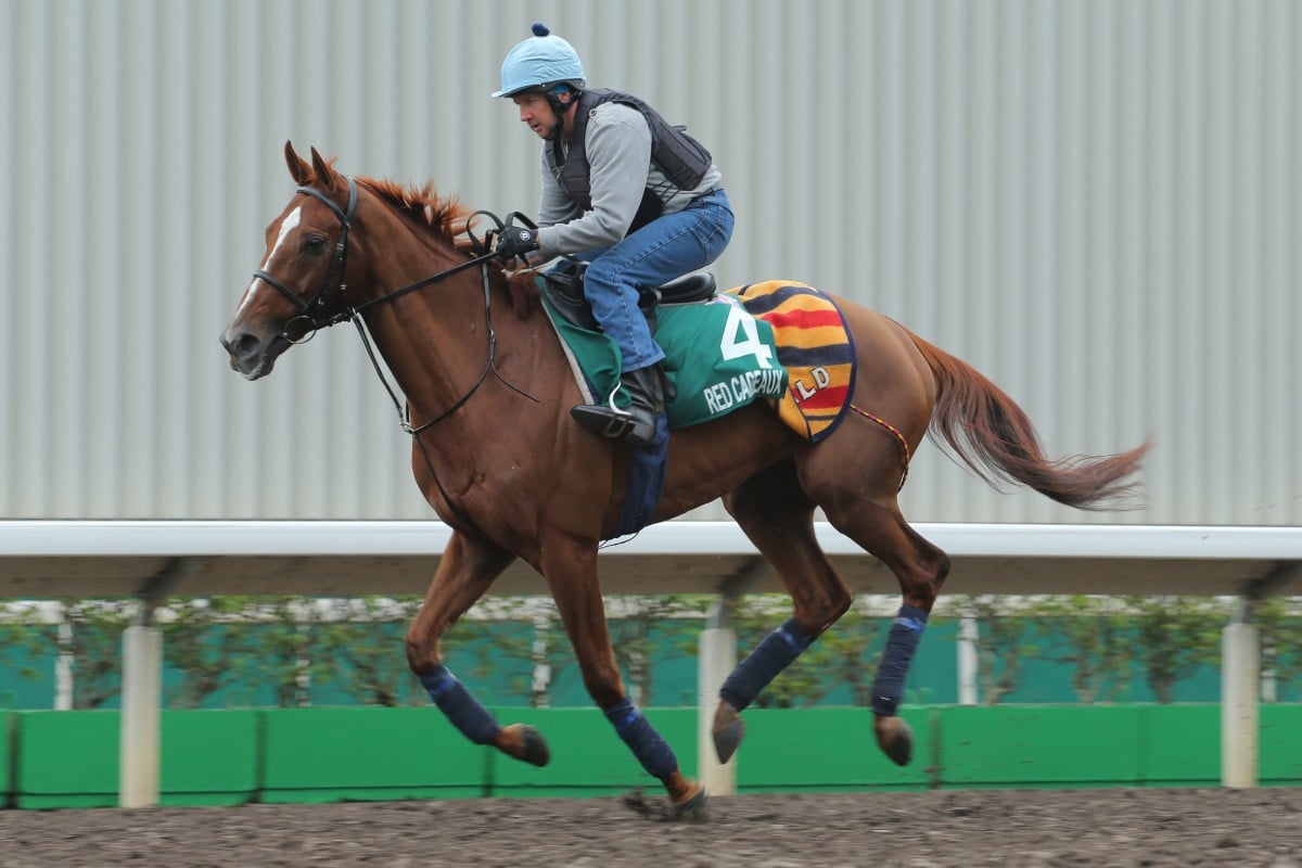 Red Cadeaux works on the track deemed "unusable" by his connections last Thursday. Photo: Kenneth Chan