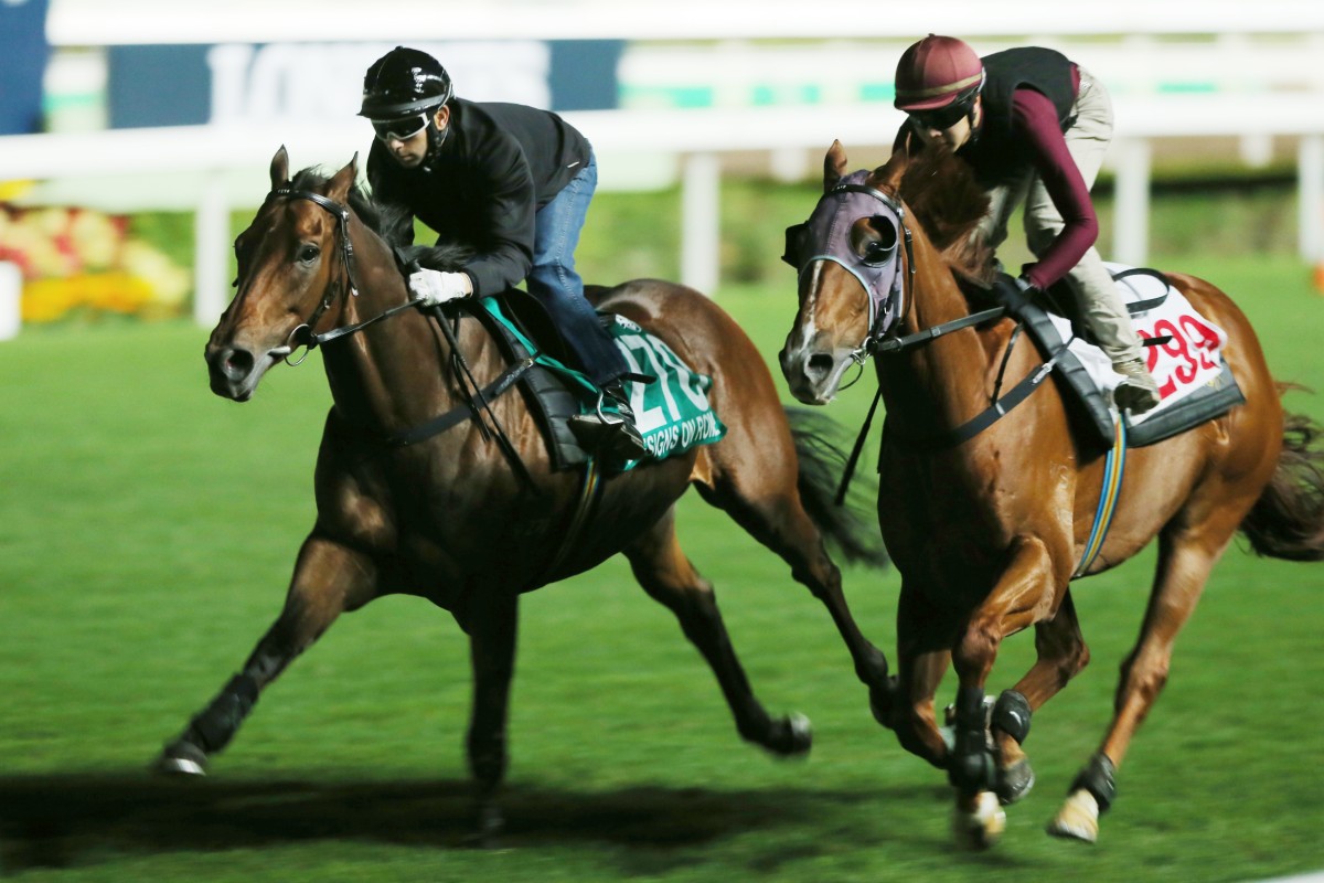 Designs On Rome edges out stablemate Approve in a terrific gallop which set the benchmark for the week. Photo: Kenneth Chan