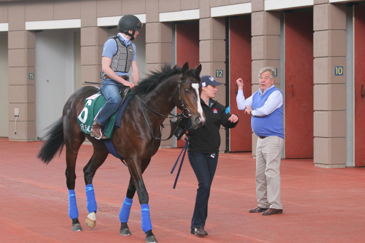 Sir Michael Stoute watches on as his Vase entrant Snow Sky is schooled in the Sha Tin parade ring. Photos: Kenneth Chan