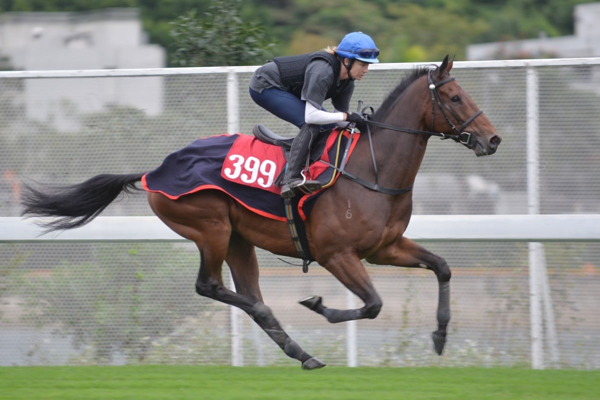 Bev Millard, who rides Ambitious Dragon in his work, says he is "moving well and feeling good". Photos: Kenneth Chan