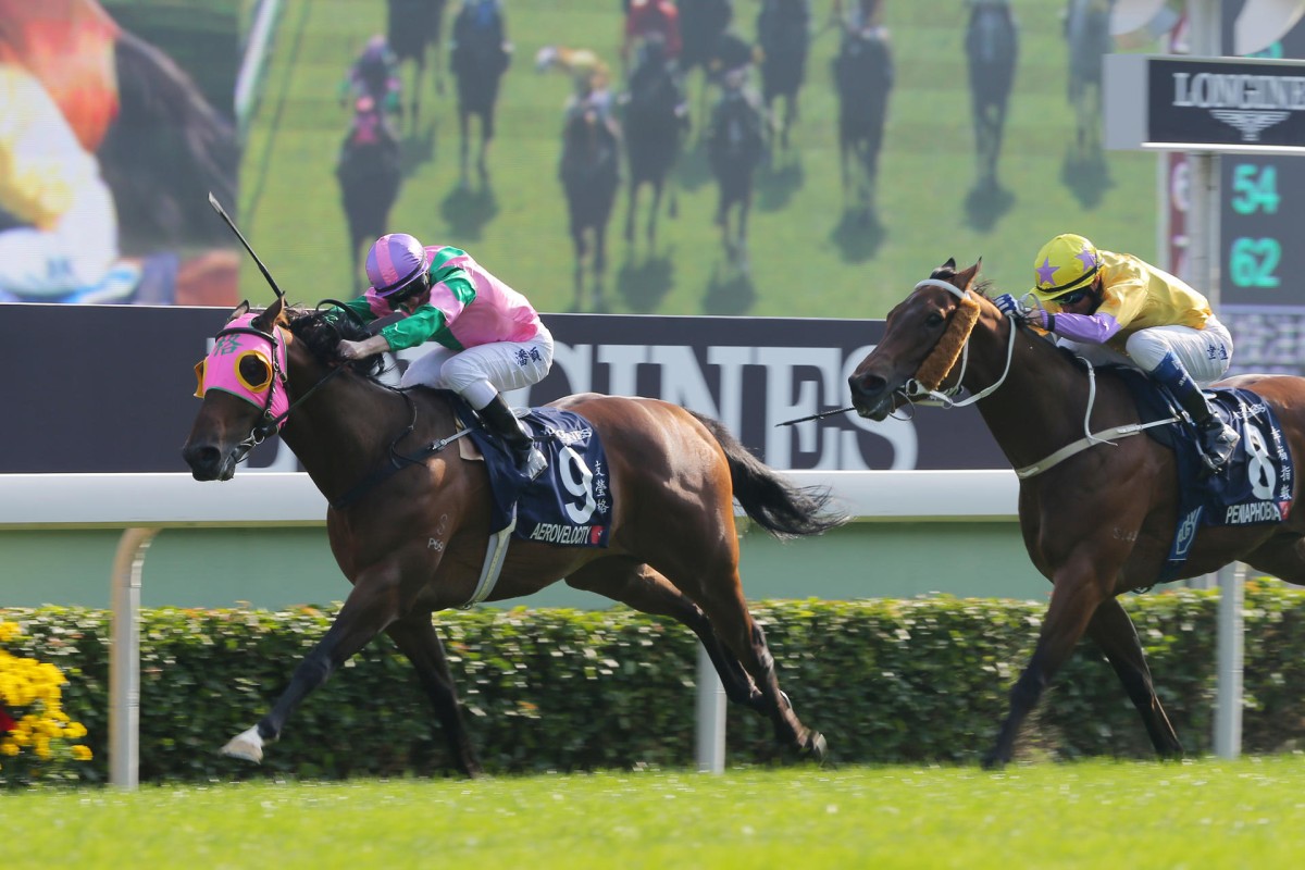 Zac Purton drives Paul O'Sullivan's Aerovelocity home after leading throughout, defeating Tony Cruz's gallant three-year-old Peniaphobia. Photo: Kenneth Chan