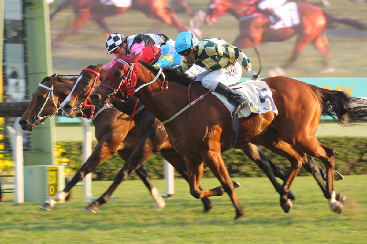 Rewarding Hero powers home in the Chinese Club Challenge Cup under Neil Callan, fulfilling trainer John Moore's prediction he would land a Group Three. Photo: Kenneth Chan