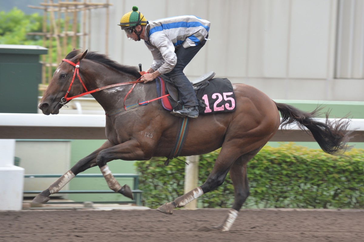 Thunder Fantasy has had two starts since arriving in Hong Kong. Photo: Kenneth Chan