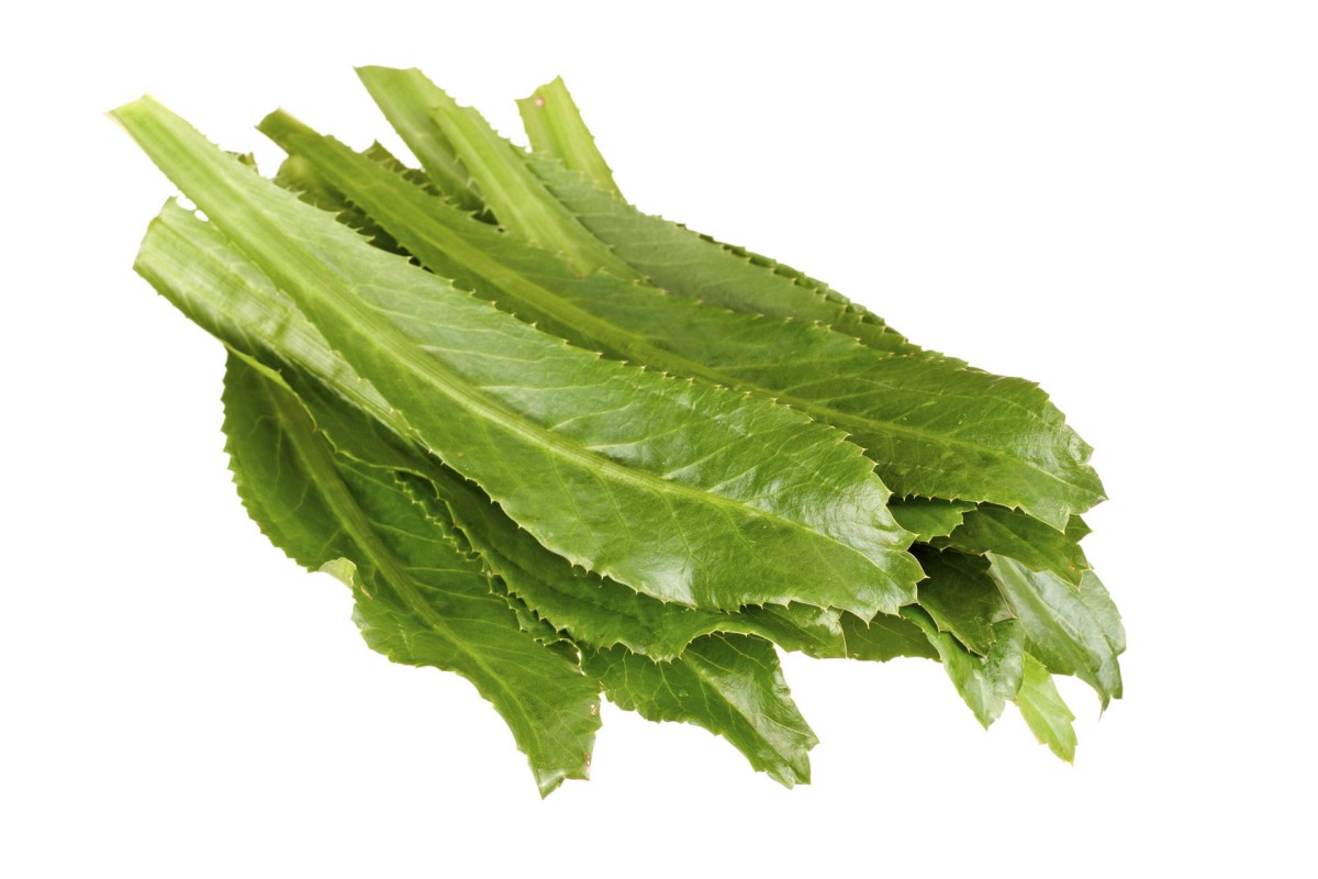 Sawtooth herb a sturdier, stronger alternative to coriander Post