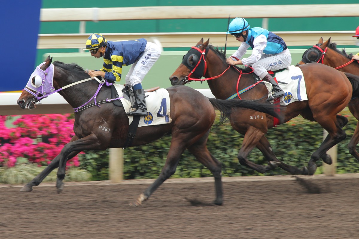 WIN NUMBER TWO: Kingston Jumbo makes it three straight wins on the dirt.