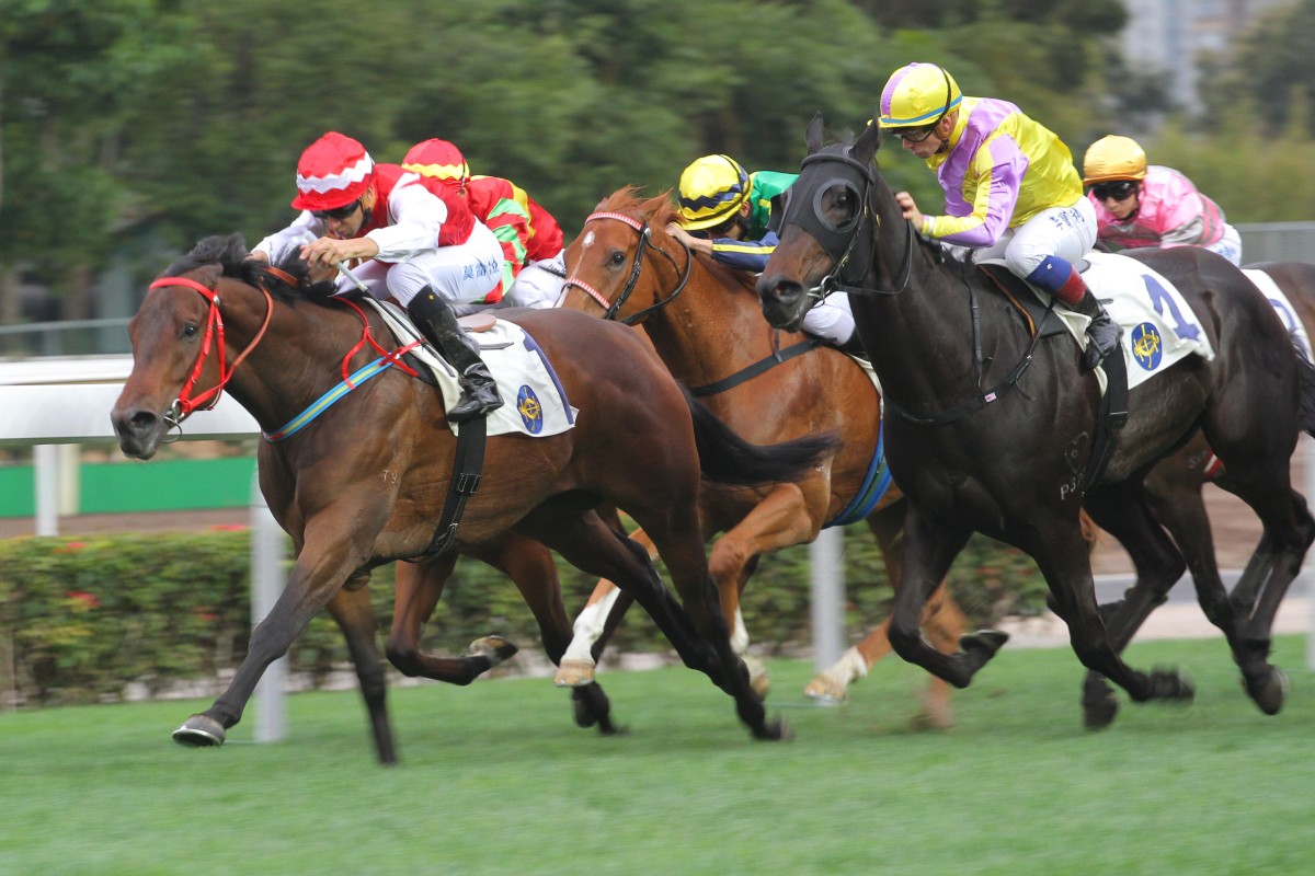 WIN NUMBER FIVE: Eroico defieds a strong betting move for runner-up Why Why to win his fourth race from seven outings.