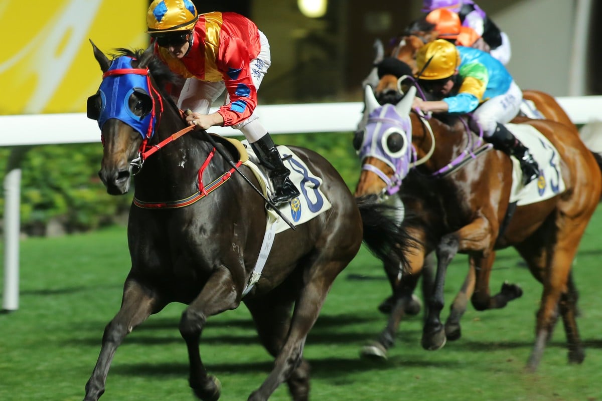 Triumphant Dragon and Zac Purton ease up after hitting the line cleanly for a win in race four at the Valley last night.    